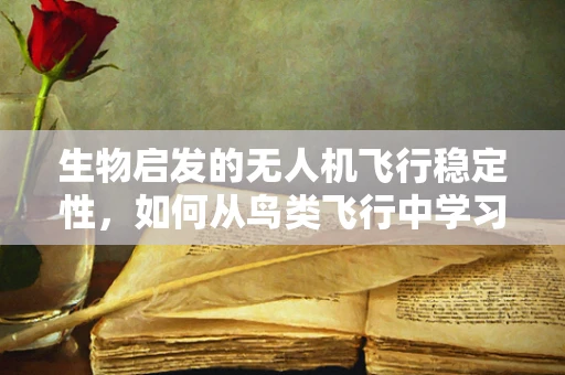 生物启发的无人机飞行稳定性，如何从鸟类飞行中学习？