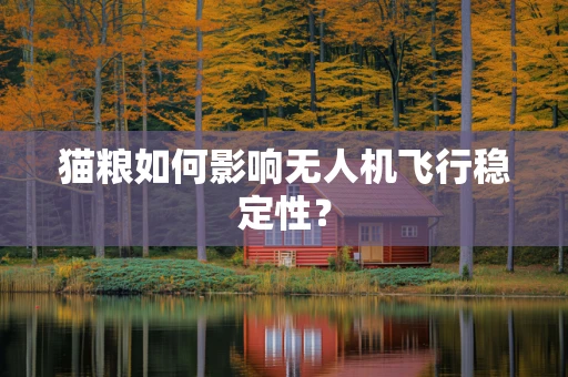 猫粮如何影响无人机飞行稳定性？