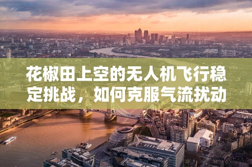花椒田上空的无人机飞行稳定挑战，如何克服气流扰动？