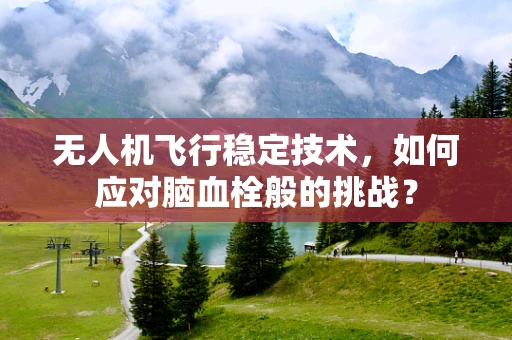 无人机飞行稳定技术，如何应对脑血栓般的挑战？