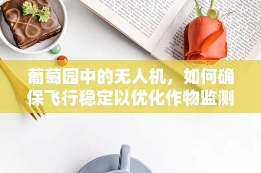 葡萄园中的无人机，如何确保飞行稳定以优化作物监测？
