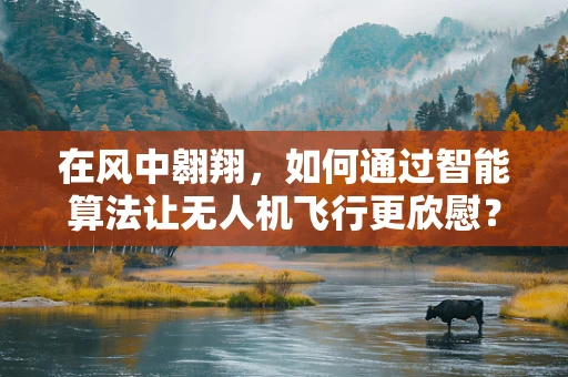 在风中翱翔，如何通过智能算法让无人机飞行更欣慰？