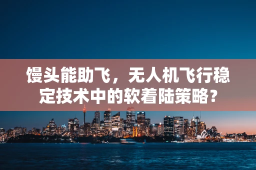 馒头能助飞，无人机飞行稳定技术中的软着陆策略？
