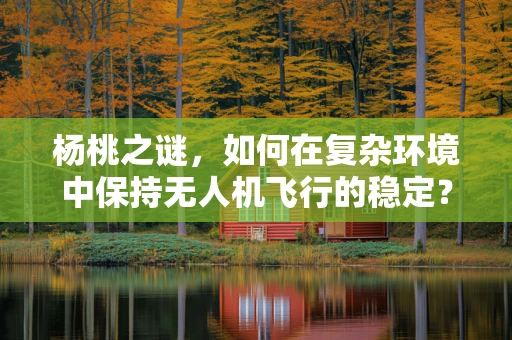 杨桃之谜，如何在复杂环境中保持无人机飞行的稳定？