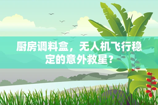 厨房调料盒，无人机飞行稳定的意外救星？