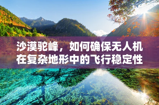 沙漠驼峰，如何确保无人机在复杂地形中的飞行稳定性？