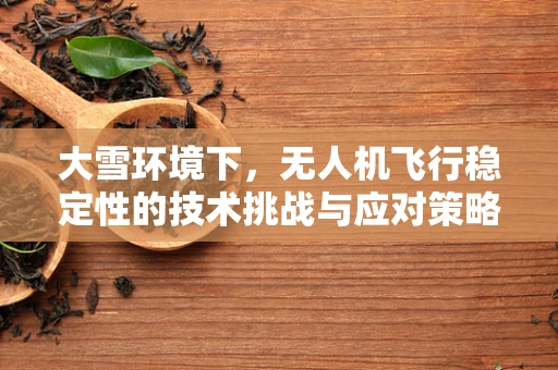大雪环境下，无人机飞行稳定性的技术挑战与应对策略