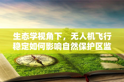 生态学视角下，无人机飞行稳定如何影响自然保护区监测的准确性？