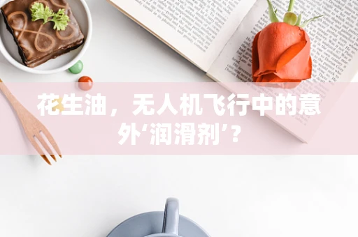 花生油，无人机飞行中的意外‘润滑剂’？