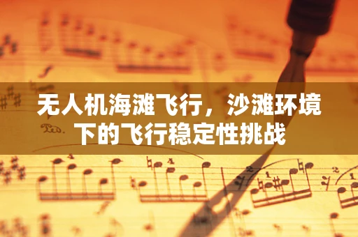 无人机海滩飞行，沙滩环境下的飞行稳定性挑战