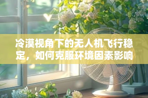 冷漠视角下的无人机飞行稳定，如何克服环境因素影响？