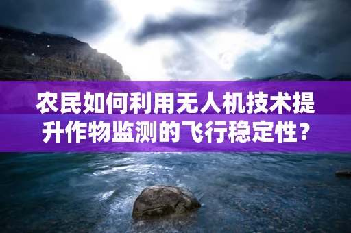农民如何利用无人机技术提升作物监测的飞行稳定性？