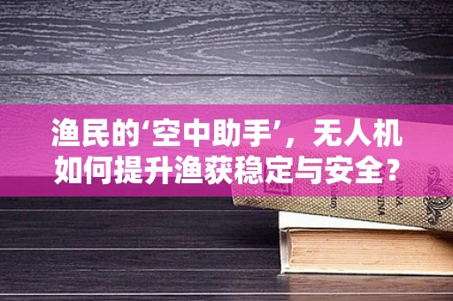 渔民的‘空中助手’，无人机如何提升渔获稳定与安全？