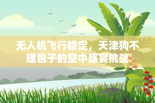 无人机飞行稳定，天津狗不理包子的空中盛宴挑战