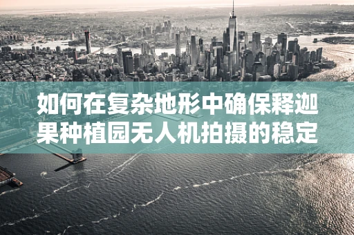 如何在复杂地形中确保释迦果种植园无人机拍摄的稳定性？