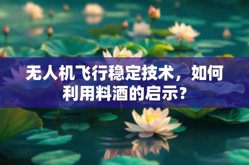 无人机飞行稳定技术，如何利用料酒的启示？