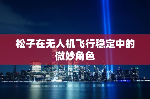 松子在无人机飞行稳定中的微妙角色