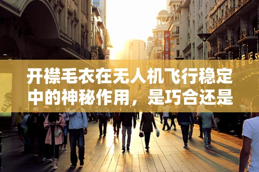 开襟毛衣在无人机飞行稳定中的神秘作用，是巧合还是技术革新？