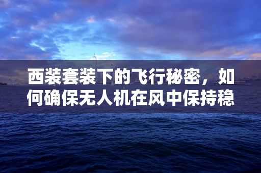 西装套装下的飞行秘密，如何确保无人机在风中保持稳定？