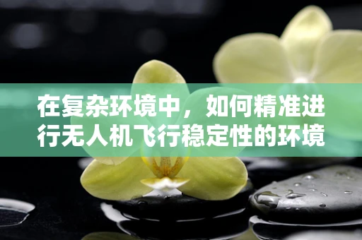 在复杂环境中，如何精准进行无人机飞行稳定性的环境影响评价？