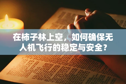 在柿子林上空，如何确保无人机飞行的稳定与安全？