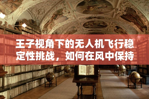 王子视角下的无人机飞行稳定性挑战，如何在风中保持优雅？