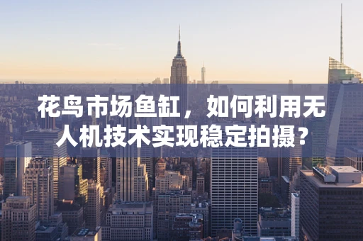 花鸟市场鱼缸，如何利用无人机技术实现稳定拍摄？
