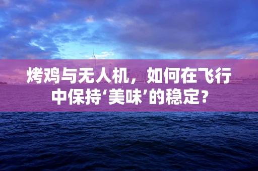 烤鸡与无人机，如何在飞行中保持‘美味’的稳定？