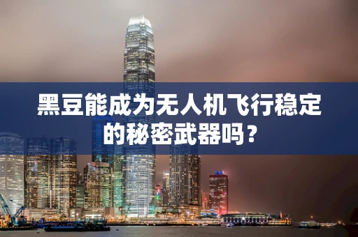 黑豆能成为无人机飞行稳定的秘密武器吗？