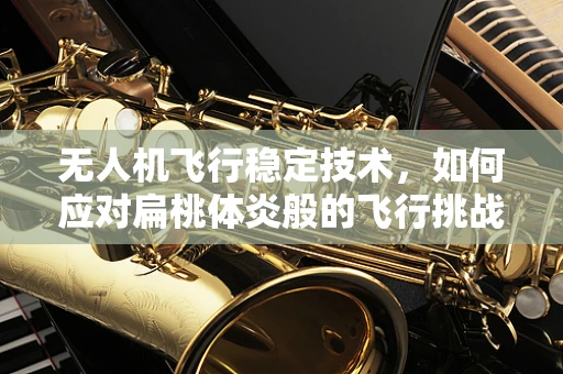 无人机飞行稳定技术，如何应对扁桃体炎般的飞行挑战？