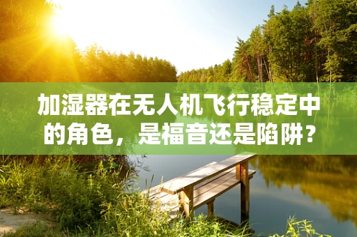 加湿器在无人机飞行稳定中的角色，是福音还是陷阱？