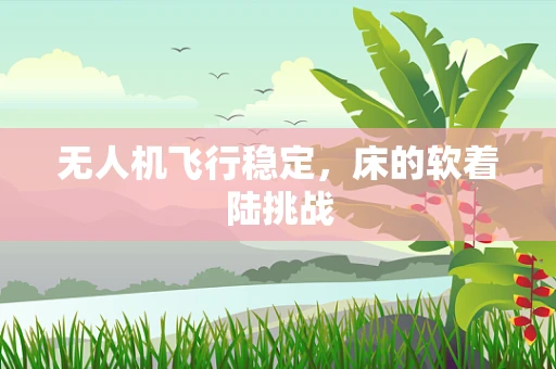 无人机飞行稳定，床的软着陆挑战