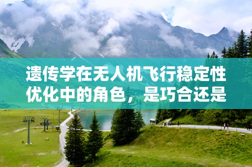 遗传学在无人机飞行稳定性优化中的角色，是巧合还是科学？