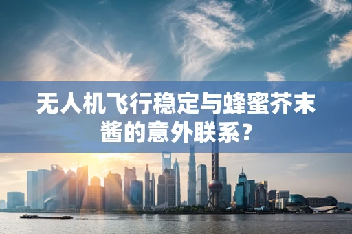 无人机飞行稳定与蜂蜜芥末酱的意外联系？