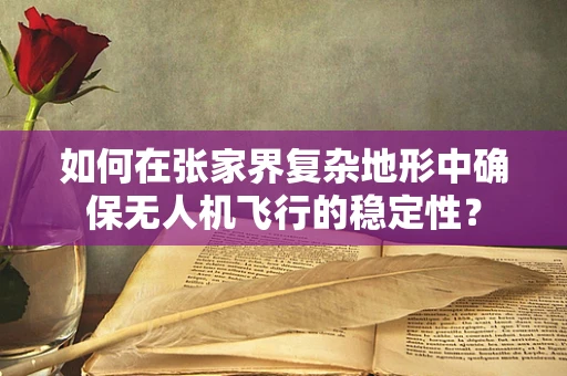 如何在张家界复杂地形中确保无人机飞行的稳定性？