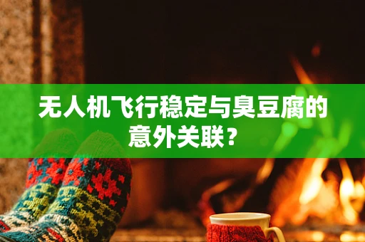 无人机飞行稳定与臭豆腐的意外关联？
