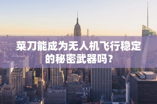 菜刀能成为无人机飞行稳定的秘密武器吗？