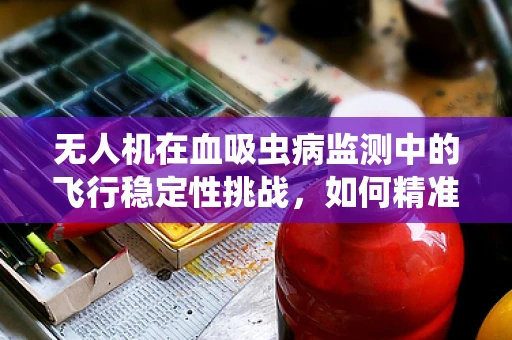 无人机在血吸虫病监测中的飞行稳定性挑战，如何精准捕捉疫情信息？