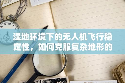 湿地环境下的无人机飞行稳定性，如何克服复杂地形的挑战？