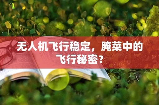 无人机飞行稳定，腌菜中的飞行秘密？