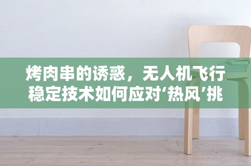 烤肉串的诱惑，无人机飞行稳定技术如何应对‘热风’挑战？