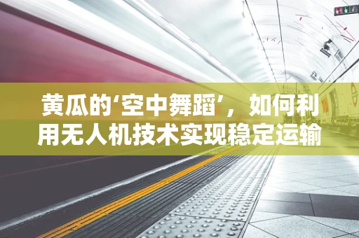 黄瓜的‘空中舞蹈’，如何利用无人机技术实现稳定运输？