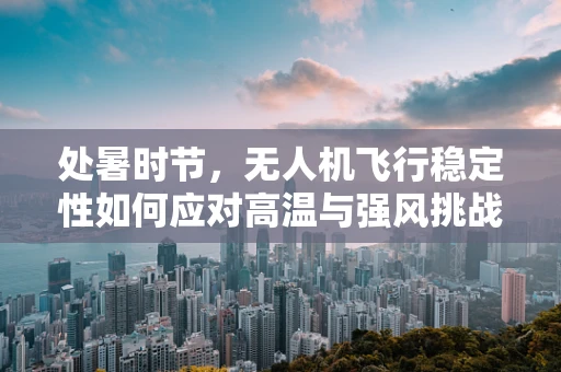 处暑时节，无人机飞行稳定性如何应对高温与强风挑战？