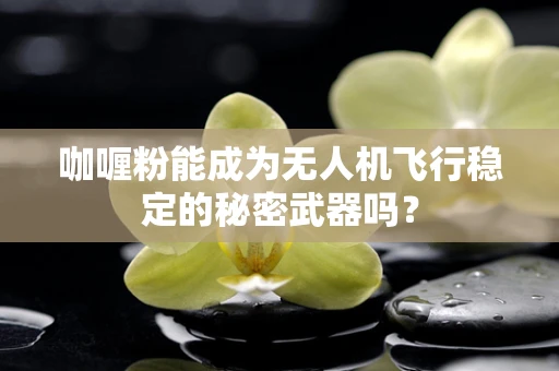 咖喱粉能成为无人机飞行稳定的秘密武器吗？