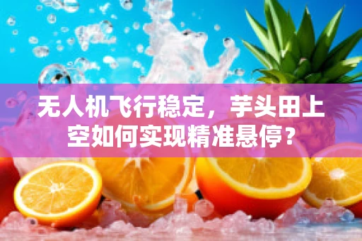 无人机飞行稳定，芋头田上空如何实现精准悬停？