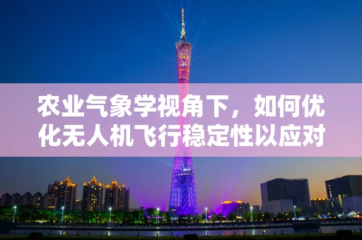农业气象学视角下，如何优化无人机飞行稳定性以应对复杂天气条件？