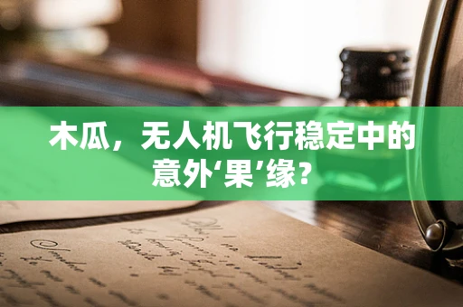 木瓜，无人机飞行稳定中的意外‘果’缘？