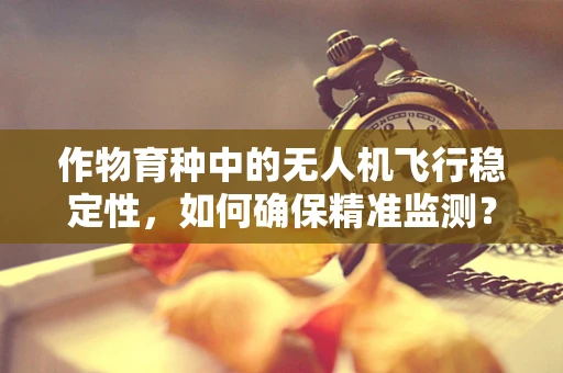 作物育种中的无人机飞行稳定性，如何确保精准监测？