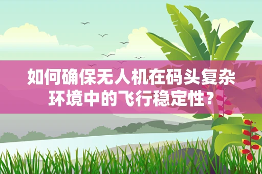 如何确保无人机在码头复杂环境中的飞行稳定性？