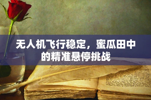 无人机飞行稳定，蜜瓜田中的精准悬停挑战